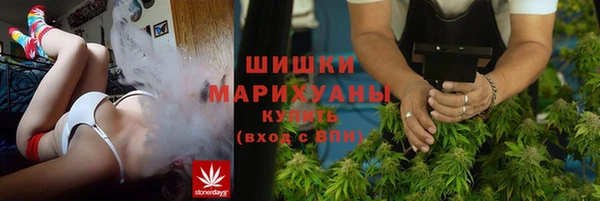 трава Бородино