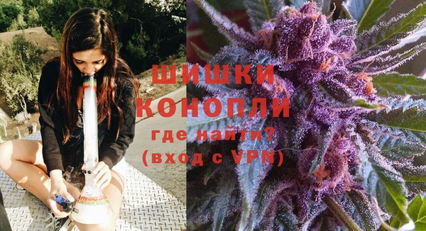 трава Бородино