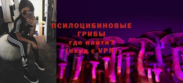 стаф Бугульма