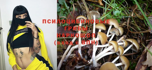стаф Бугульма