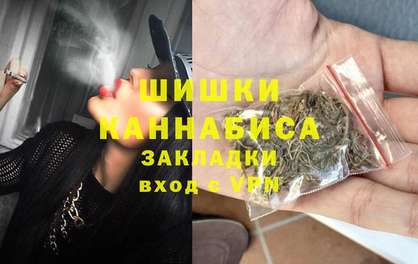 трава Бородино