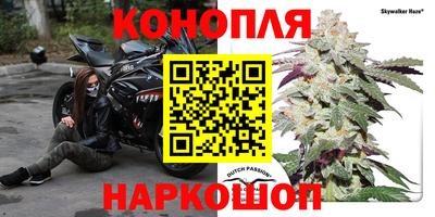гидропоника Ирбит