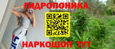 гидропоника Ирбит