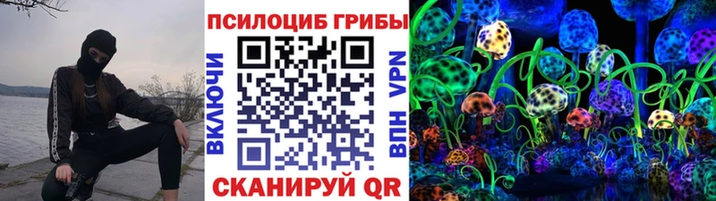 сколько стоит  Медногорск  площадка какой сайт  Псилоцибиновые грибы мицелий 