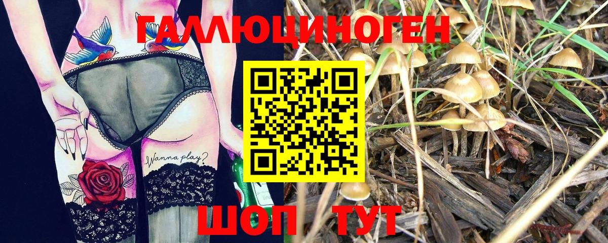 Медногорск  магазин продажи   Галлюциногенные грибы MAGIC MUSHROOMS  Вход с VPN  Галлюциногенные грибы GOLDEN TEACHER 