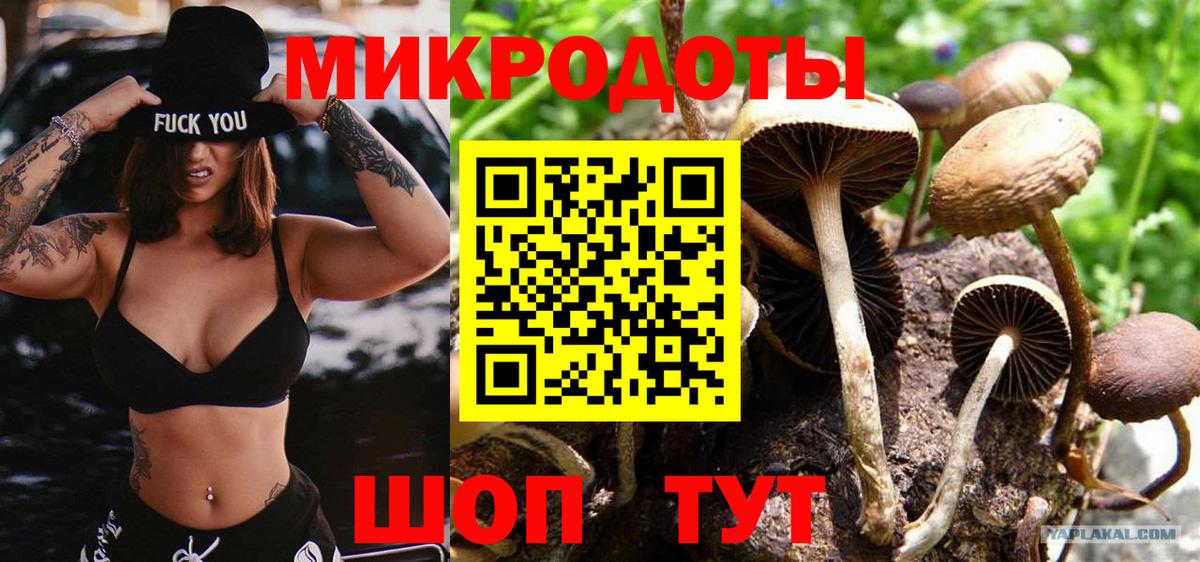 Галлюциногенные грибы Cubensis Медногорск